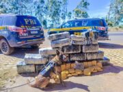 18:06 –
PRF apreende mais de 300 kg de 'supermaconha' em caminhão na BR-364