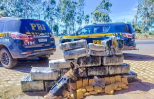 18:06 –
PRF apreende mais de 300 kg de 'supermaconha' em caminhão na BR-364