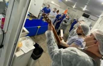 20:41 –
Idosa com câncer é batizada dentro de quarto de UTI em MT: veja vídeo