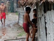 16:17 –
Analfabetismo entre indígenas com deficiência chega a um terço da população em Mato Grosso