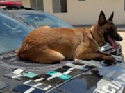 17:41 –
Operações removem 2.114 celulares em unidades prisionais de Mato Grosso em seis meses