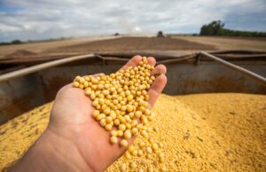 PIB cresce 1,4% no 1º trimestre puxado pela alta de 12,2% do agro