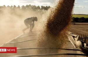 PIB sobe 1,4% no 1º tri: por que analistas veem desaceleração da economia à frente