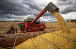 MT será o estado que mais vai crescer no país em 2025, diz BB