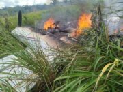 Polícia de MT dá apoio e FAB intercepta avião com skunk