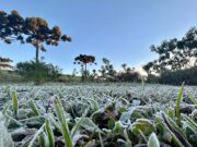Ao menos 8 capitais devem registrar recordes de baixas temperaturas