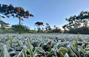 Ao menos 8 capitais devem registrar recordes de baixas temperaturas