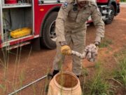 11:12 –
Bombeiros resgatam jiboia de quase dois metros em máquina de lavar roupas