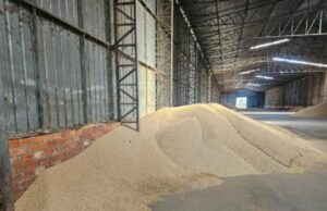 14:38 –
Dois empresários são presos por receptação de carga de soja em Cuiabá