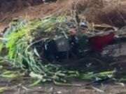 10:16 –
Motociclista de 32 anos morre após perder controle da direção e bater contra muro