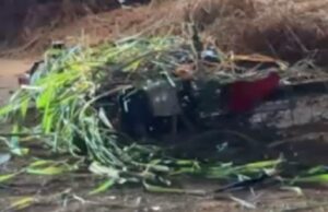 10:16 –
Motociclista de 32 anos morre após perder controle da direção e bater contra muro