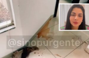 17:41 –
Casa ensanguentada, marcas de tiros e facas no chão: imagens mostram local em que psicóloga foi morta