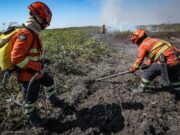Governo de MT lança operação de combate aos incêndios no Pantanal