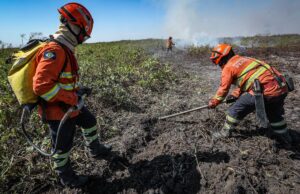 Governo de MT lança operação de combate aos incêndios no Pantanal