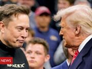 Trump x Musk: o que acontece quando homem mais rico do mundo enfrenta o mais poderoso?