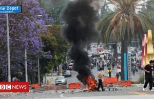 Protestos em Los Angeles: como cidade explodiu após rumor de batida contra imigrantes em loja de construção
