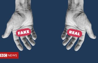 Como STF pode regular plataformas digitais após impasse no PL das fake news