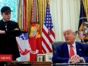 Trump x Musk: os 10 dias que acabaram com ‘bromance’ entre bilionário e presidente