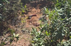 Homem é encontrado morto e com pés e mãos amarrados em MT