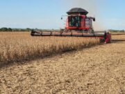 Brasil aumenta exportação de soja à China em 13,9% em julho