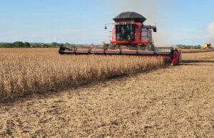 Soja e biodiesel podem representar 6,4% do PIB do país em 2025