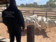 Fazendeiro é preso por receptação de gado roubado em Cuiabá