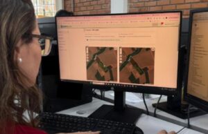 19:36 –
Em um mês, versão 2.0 do CAR Digital agiliza análise e valida 12 mil propriedades rurais