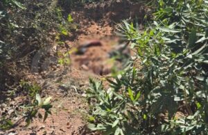 14:46 –
Homem é encontrado parcialmente enterrado em cova rasa na MT-471