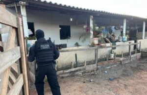 16:07 –
PJC prende líder de facção e descobre criação de galos para rinha; animal avaliado em R$ 20 mil