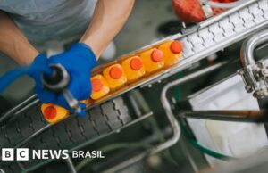 Como Trump ameaça o suco de laranja brasileiro, tão importante para a economia do país