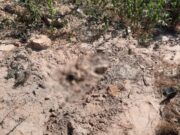 Operários de rodovia encontram corpo amarrado com corda