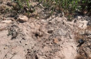 Operários de rodovia encontram corpo amarrado com corda