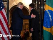 ‘Brasil é hoje um sistema mais democrático do que os Estados Unidos’, diz autor do best-seller ‘Como as democracias morrem’