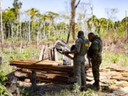 Sema faz 127 ações e aplica R$ 1,3 bi em multas ambientais