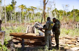 Sema faz 127 ações e aplica R$ 1,3 bi em multas ambientais