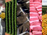 Tarifaço: quem se deu bem e ou mal entre as exceções da taxa de 50%