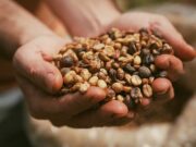 Quem paga o tarifaço? Brasil perde mercado, e EUA podem ter inflação