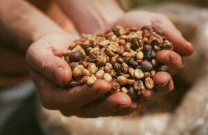 Quem paga o tarifaço? Brasil perde mercado, e EUA podem ter inflação