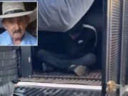 Homem que assassinou idoso matou esposa a pauladas em 2018