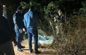 07:12 –
Dois homens são encontrados mortos dentro de saco de areia próximo à mata