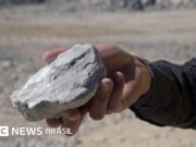 Por que terras raras e minerais do Brasil são cobiçados por Trump