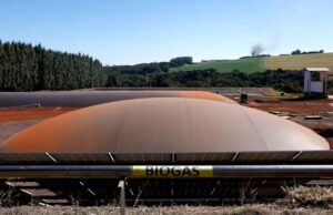 Itaipu e Receita Federal fazem contrabando virar energia limpa