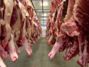 Frigoríficos de MS paralisam produção de carne destinada aos EUA após tarifaço de Trump | Mato Grosso do Sul