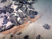 Ilha submersa reivindicada pelo Brasil é rica em metais estratégicos cobiçados pelos EUA; especialistas apontam riscos | Rio Grande do Sul