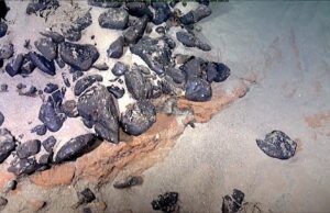 Ilha submersa reivindicada pelo Brasil é rica em metais estratégicos cobiçados pelos EUA; especialistas apontam riscos | Rio Grande do Sul