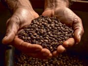 EUA podem isentar café, cacau e recursos naturais de tarifas, diz secretário de Trump | Mundo