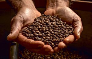 EUA podem isentar café, cacau e recursos naturais de tarifas, diz secretário de Trump | Mundo