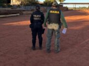 PF deflagra operação contra desmate em terra indígena em MT