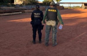 PF deflagra operação contra desmate em terra indígena em MT