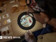 A busca por cemitério de escravizados que ‘desapareceu’ em Salvador: ‘Maior banco de DNA do mundo’